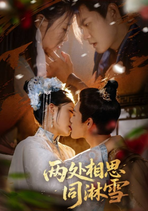 两处相思同淋雪（60集）热门短剧大全
