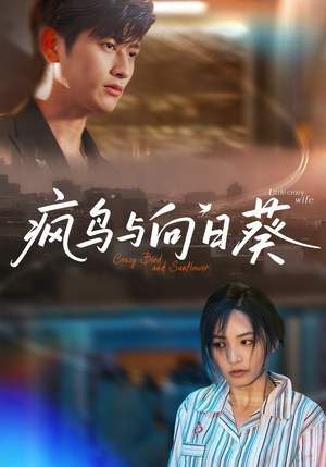 疯鸟与向日葵（40集）每日短剧推荐