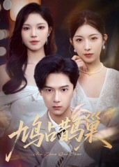 鸠占鹊巢&顶流夫人的致命陷阱（70集）红果短剧看全集