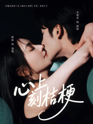 心上刻桔梗（90集）好短剧分享