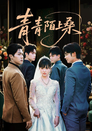 青青陌上桑（70集）短剧太好看了