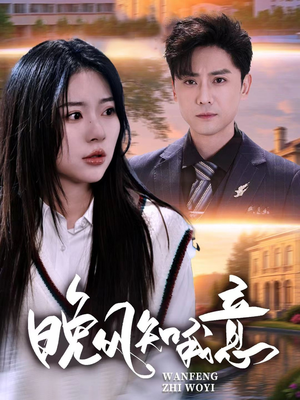 晚风知我意（50集）全季一次看完