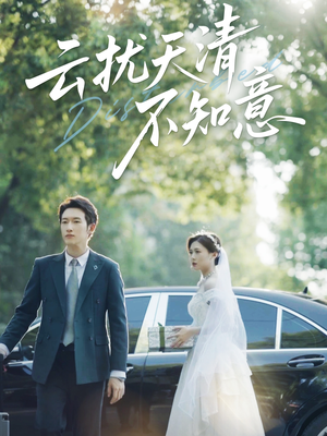 云扰天清不知意（60集）演的怎么样