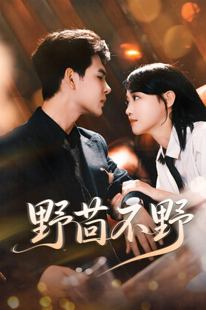 野茴不野（67集）流畅播放免费看