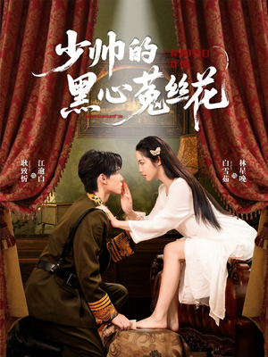 少帅的黑心菟丝花（60集）第三季