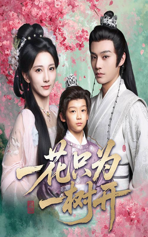 一花只为一树开（54集）爆火短剧追不停