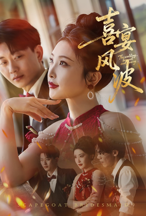 喜宴风波&替罪伴娘（30集）更新时间
