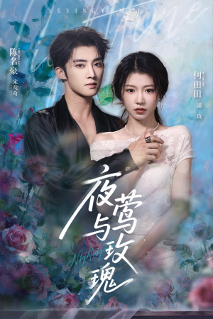 夜莺与玫瑰（66集）免费观看就是爽