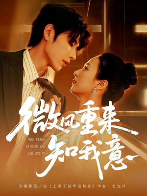 微风重来知我意（62集）简直不要太好看