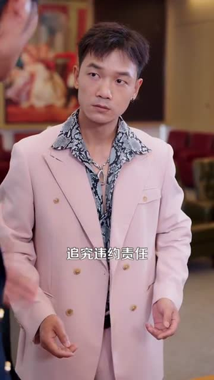 都市一品傻婿 (96集)今日最火短剧