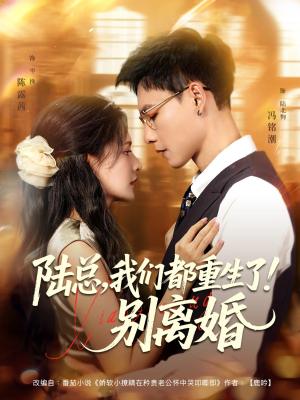 陆总我们都重生了别离婚（79集）直接看到大结局