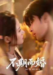 不期而婚（76集）免费观看完整版