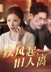 疾风起旧人离（32集）短剧上热门