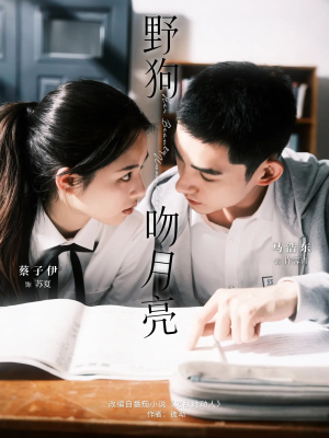 野狗吻月亮（68集）口碑之选免费看