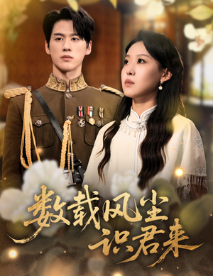 数载风尘识君来（62集）热门爆款短剧