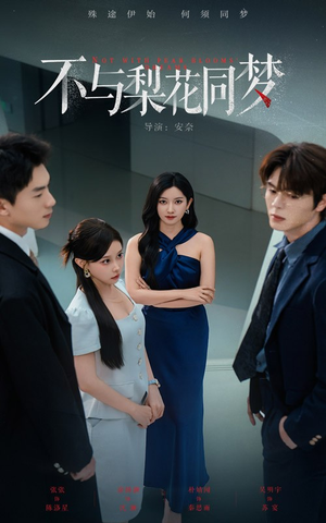 不与梨花同梦（50集）热播短剧全集看