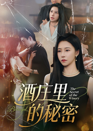 酒庄里的秘密（54集）精彩短剧免费看