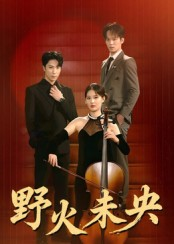 野火未央（40集）直接看到大结局