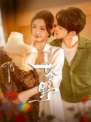 【摘星予南风】73集短剧在线免费全集看