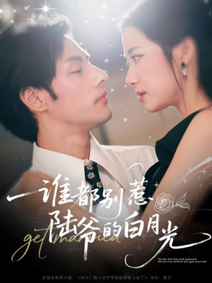 谁都别惹陆爷的白月光（79集）抢先看热门短剧