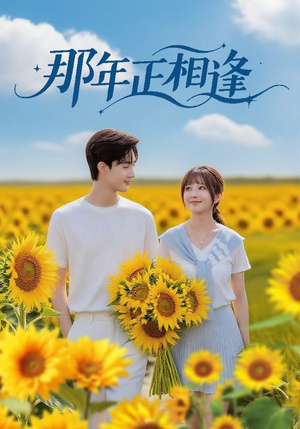 那年正相逢（60集）短剧推荐来了