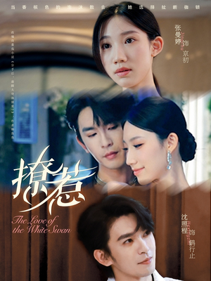 撩惹（80集）番茄短剧看全集