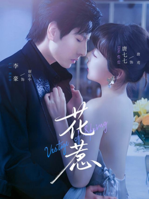 花惹（70集）更新时间