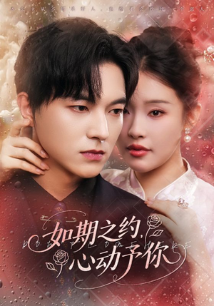 【如期之约心动予你】82集短剧完整版免费在线看