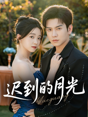 迟到的月光（80集）在线看到大结局