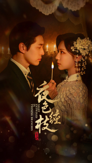 【夜色缠枝百度HE版本】62集短剧免费全集乐看