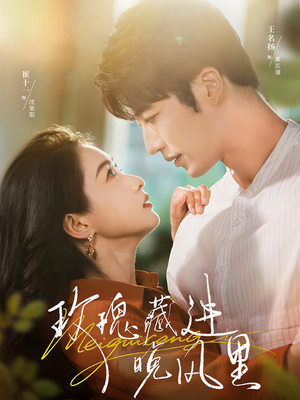 玫瑰藏进晚风里（68集）爆款短剧追不停