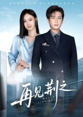 再见荆之（60集）全集我都看完了