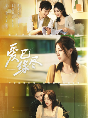 爱已缘尽（62集）怎么看全集