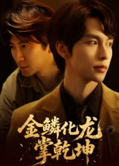 金lin化龙掌乾坤（54集）精彩短剧随心推