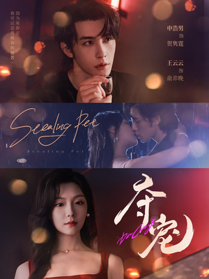 夺宠（88集）精彩短剧分享。