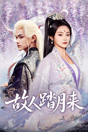故人踏月来（60集）观看软件