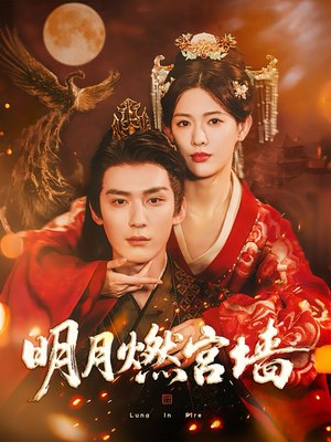 明月燃宫墙（60集）全剧看到大结局