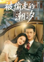 被偷走的潮汐（60集）哪个网站可以看