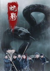 蛇影（25集）剧情简介
