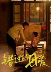 错过的母爱（32集）全集