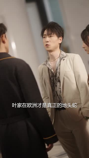 骆小姐你别想跑（30集）口碑爆棚免费看