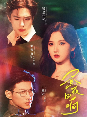 昼夜回响（76集）精彩短剧免费看