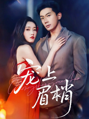 【宠上眉梢】51集短剧在线免费全集观