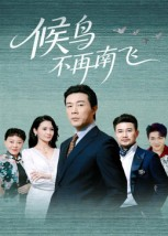 候鸟不再南飞（80集）亿万短剧抢先看