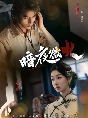 【暗夜微火】80集在线免费短剧全集赏