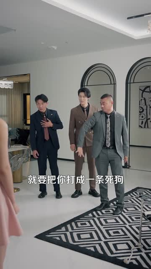 至尊神婿归来（104集）零花钱看整部剧