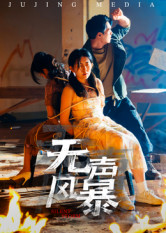 无声风暴（33集）剧情简介