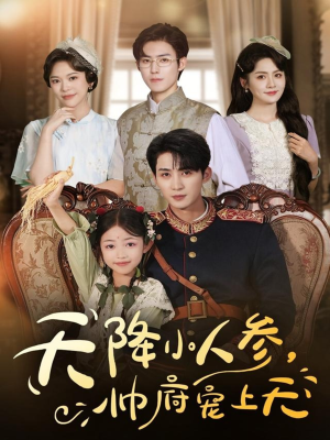 天降小人参，帅府宠上天（83集）第一季
