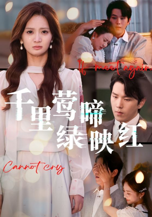 千里莺啼绿映红（63集）全集完整版