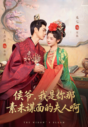 侯爷我是你那素未谋面的夫人啊（80集）精彩的短剧